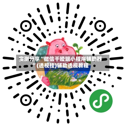 实测分享“微信干瞪眼小程序辅助器”(透视挂)辅助透视教程-第2张图片