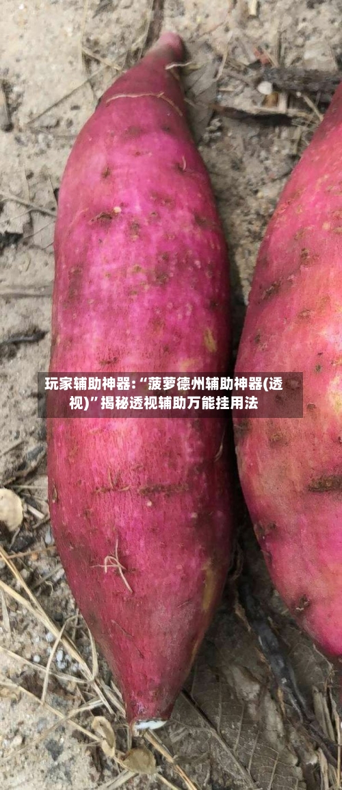 玩家辅助神器:“菠萝德州辅助神器(透视)	”揭秘透视辅助万能挂用法-第2张图片