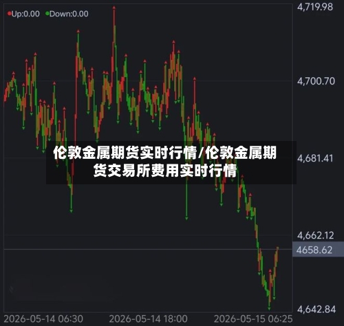 伦敦金属期货实时行情/伦敦金属期货交易所费用实时行情