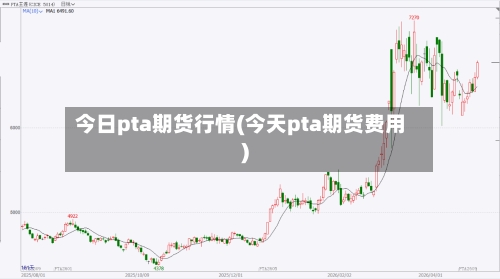 今日pta期货行情(今天pta期货费用)