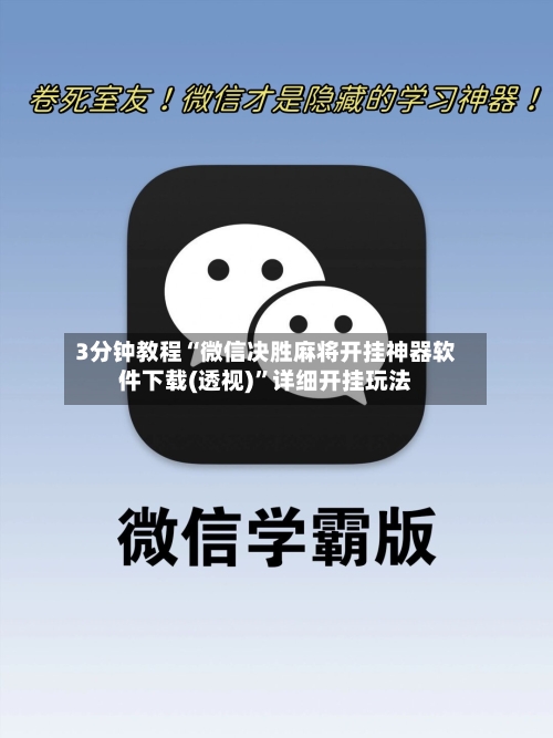 3分钟教程“微信决胜麻将开挂神器软件下载(透视)	”详细开挂玩法-第2张图片