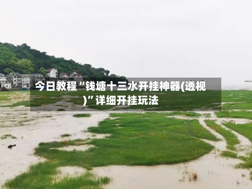 今日教程“钱塘十三水开挂神器(透视)	”详细开挂玩法-第3张图片