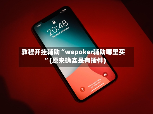 教程开挂辅助“wepoker辅助哪里买”(原来确实是有插件)-第2张图片