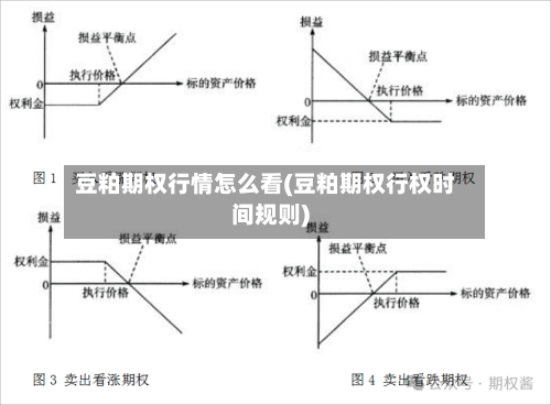 豆粕期权行情怎么看(豆粕期权行权时间规则)-第3张图片