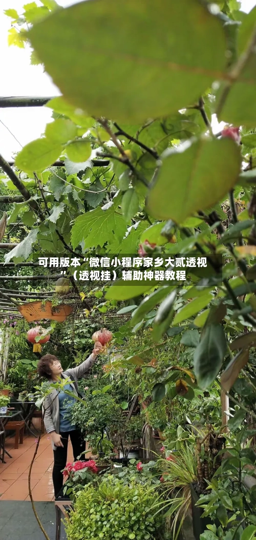 可用版本“微信小程序家乡大贰透视	”（透视挂）辅助神器教程-第2张图片