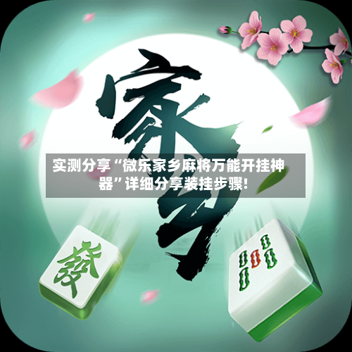 实测分享“微乐家乡麻将万能开挂神器”详细分享装挂步骤!-第3张图片
