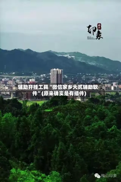 辅助开挂工具“微信家乡大贰辅助软件”(原来确实是有插件)-第2张图片