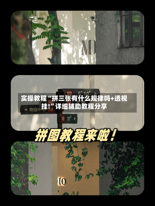 实操教程“拼三张有什么规律吗+透视挂!”详细辅助教程分享-第2张图片