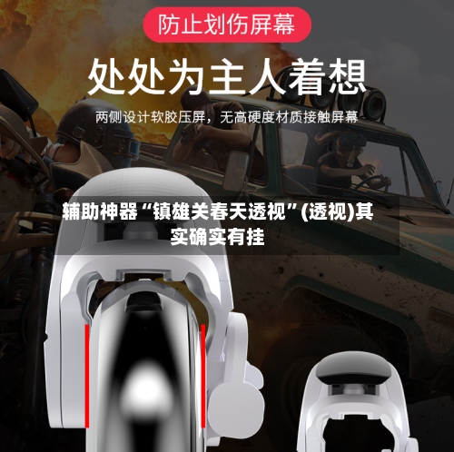 辅助神器“镇雄关春天透视”(透视)其实确实有挂