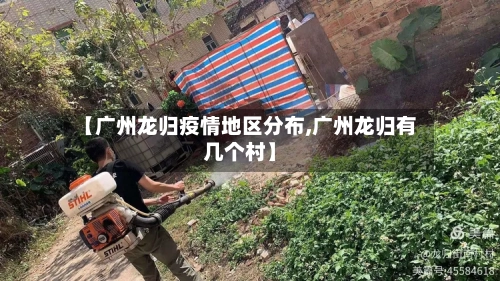 【广州龙归疫情地区分布,广州龙归有几个村】-第3张图片