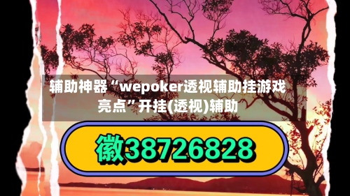 辅助神器“wepoker透视辅助挂游戏亮点”开挂(透视)辅助-第2张图片
