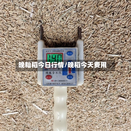 晚籼稻今日行情/晚稻今天费用-第2张图片