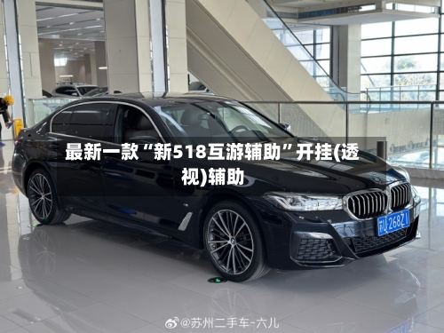 最新一款“新518互游辅助”开挂(透视)辅助
