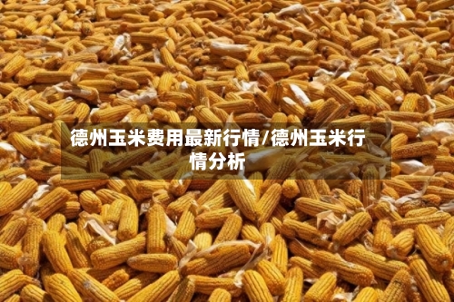 德州玉米费用最新行情/德州玉米行情分析-第2张图片