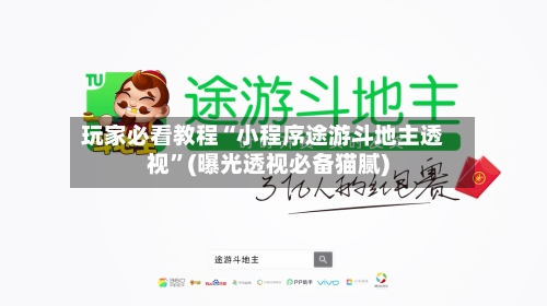 玩家必看教程“小程序途游斗地主透视”(曝光透视必备猫腻)-第2张图片