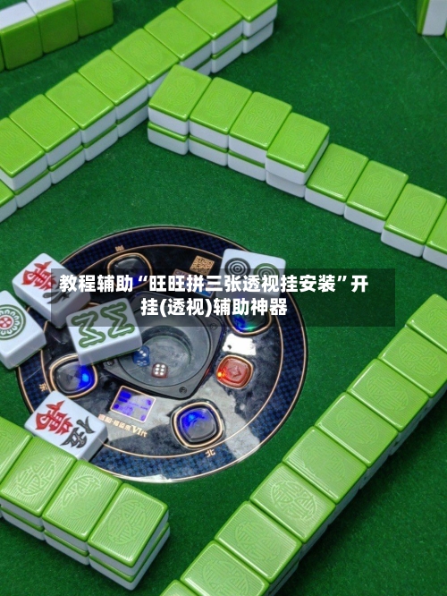 教程辅助“旺旺拼三张透视挂安装”开挂(透视)辅助神器-第2张图片