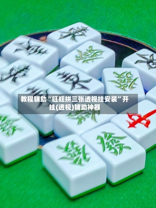 教程辅助“旺旺拼三张透视挂安装”开挂(透视)辅助神器-第3张图片