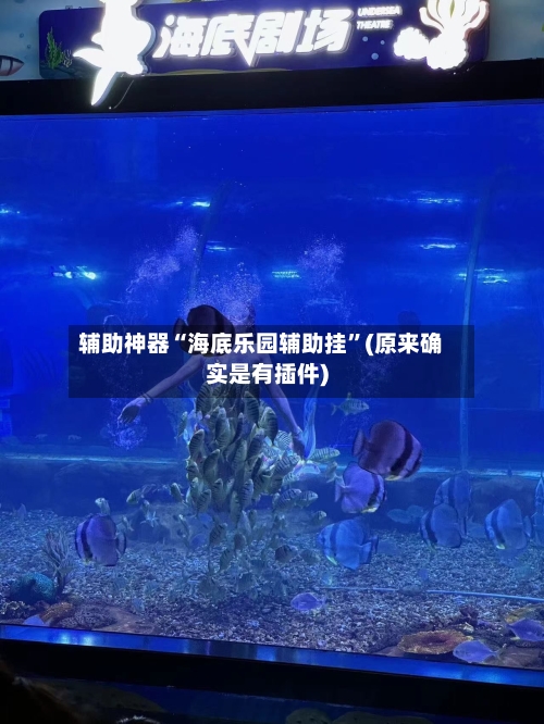 辅助神器“海底乐园辅助挂	”(原来确实是有插件)-第2张图片