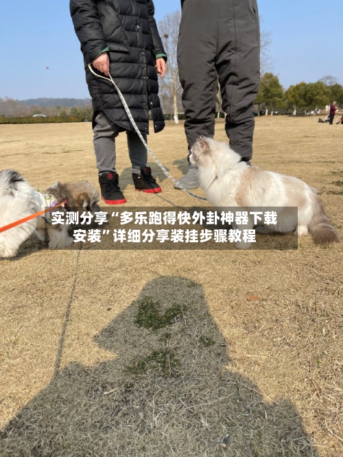 实测分享“多乐跑得快外卦神器下载安装”详细分享装挂步骤教程-第2张图片