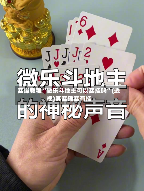 实操教程“微乐斗地主可以买挂吗”(透视)其实确实有挂-第2张图片