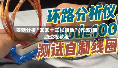 实测分析“嘟嘟十三张辅助”(作弊)辅助透视教程-第2张图片