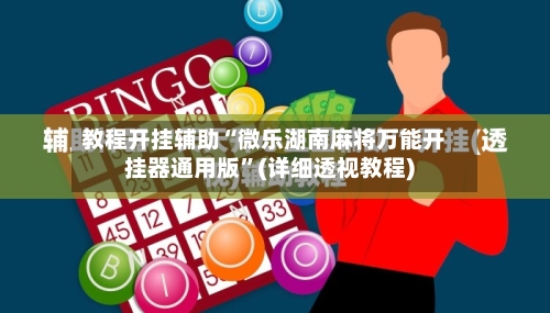 教程开挂辅助“微乐湖南麻将万能开挂器通用版”(详细透视教程)-第2张图片