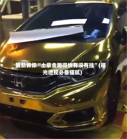 最新教你“土豪金跑得快有没有挂	”(曝光透视必备猫腻)-第2张图片