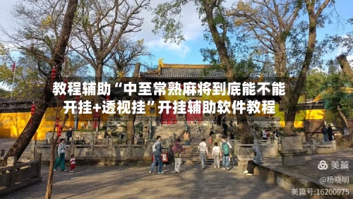 教程辅助“中至常熟麻将到底能不能开挂+透视挂”开挂辅助软件教程-第2张图片