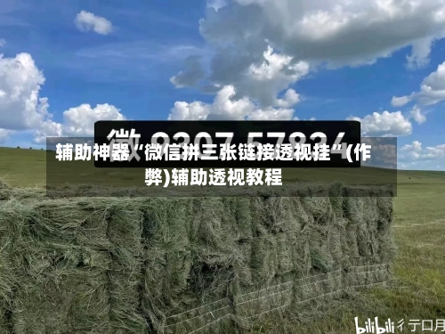 辅助神器“微信拼三张链接透视挂”(作弊)辅助透视教程-第2张图片