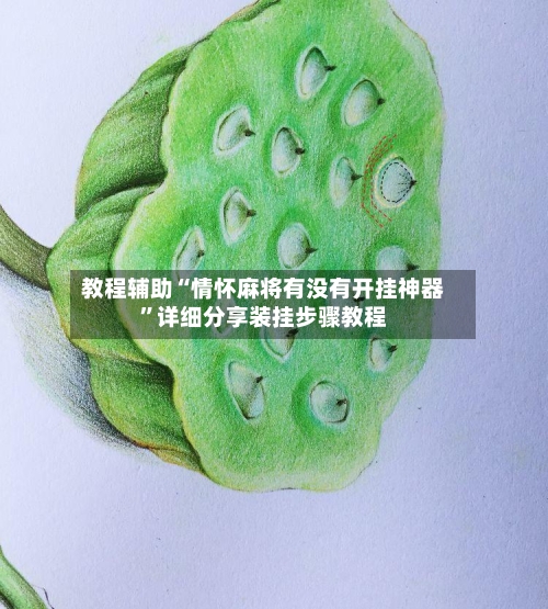 教程辅助“情怀麻将有没有开挂神器”详细分享装挂步骤教程-第2张图片