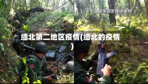 缅北第二地区疫情(缅北的疫情)