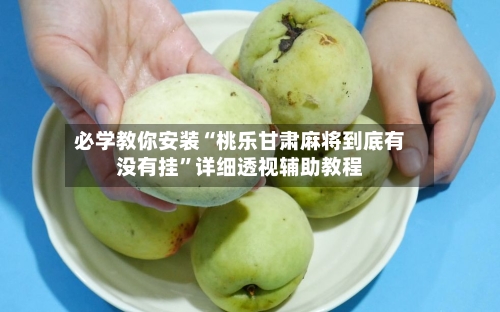 必学教你安装“桃乐甘肃麻将到底有没有挂	”详细透视辅助教程-第2张图片