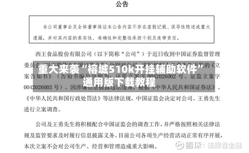 重大来袭“榕城510k开挂辅助软件”通用版下载教程-第3张图片