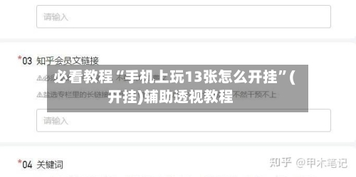 必看教程“手机上玩13张怎么开挂”(开挂)辅助透视教程-第3张图片