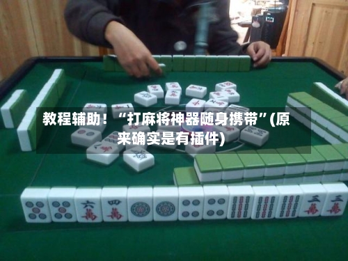 教程辅助！“打麻将神器随身携带”(原来确实是有插件)-第3张图片