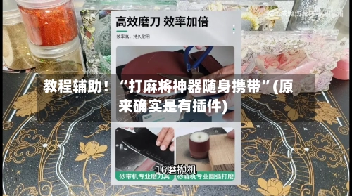 教程辅助！“打麻将神器随身携带”(原来确实是有插件)