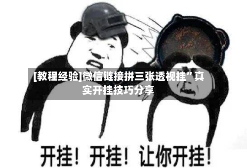 [教程经验]微信链接拼三张透视挂”真实开挂技巧分享