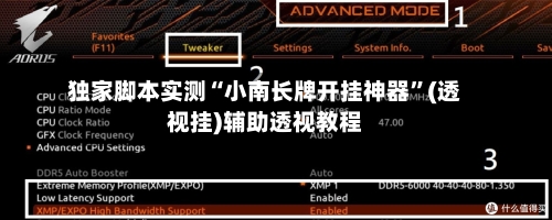 独家脚本实测“小南长牌开挂神器”(透视挂)辅助透视教程-第2张图片