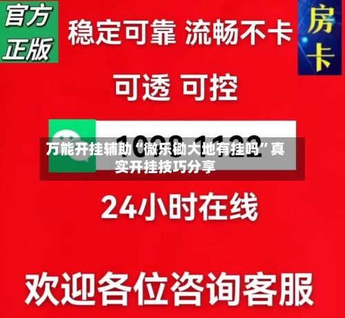 万能开挂辅助“微乐锄大地有挂吗”真实开挂技巧分享-第2张图片