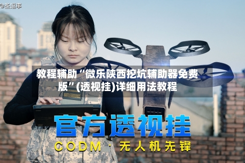 教程辅助“微乐陕西挖坑辅助器免费版”(透视挂)详细用法教程-第2张图片