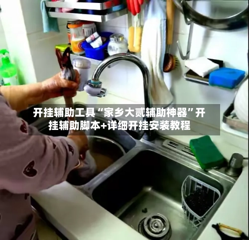 开挂辅助工具“家乡大贰辅助神器”开挂辅助脚本+详细开挂安装教程