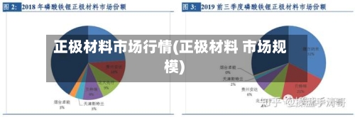 正极材料市场行情(正极材料 市场规模)-第2张图片