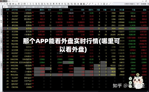 那个APP能看外盘实时行情(哪里可以看外盘)-第2张图片