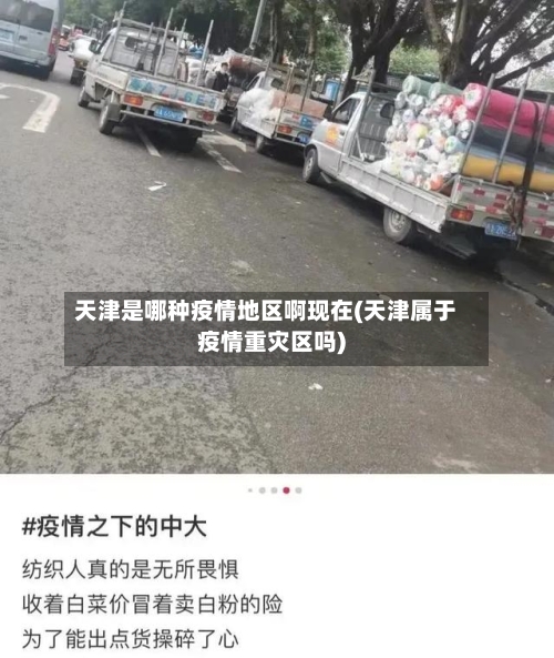 天津是哪种疫情地区啊现在(天津属于疫情重灾区吗)-第3张图片