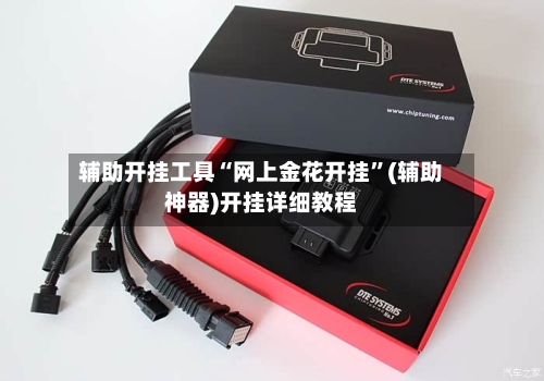 辅助开挂工具“网上金花开挂”(辅助神器)开挂详细教程-第3张图片