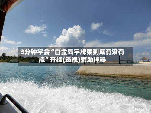 3分钟学会“白金岛字牌集到底有没有挂”开挂(透视)辅助神器-第2张图片