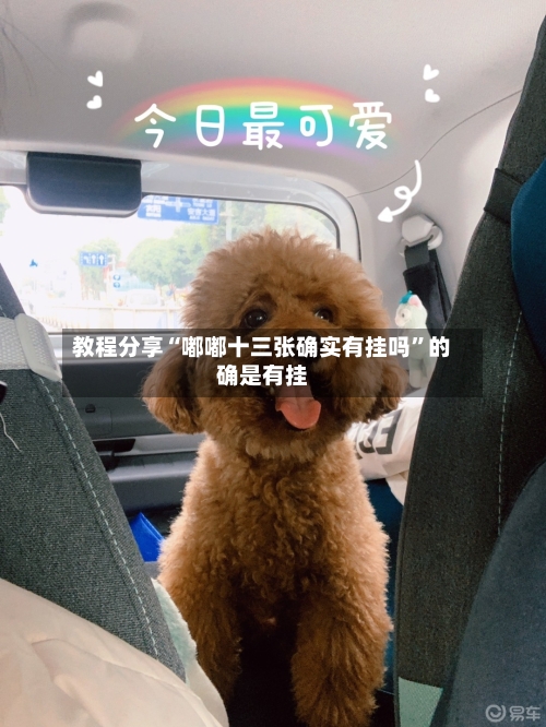 教程分享“嘟嘟十三张确实有挂吗”的确是有挂-第2张图片