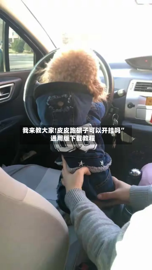 我来教大家!皮皮跑胡子可以开挂吗”通用版下载教程-第2张图片