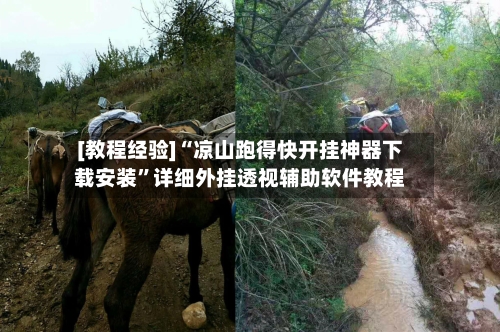 [教程经验]“凉山跑得快开挂神器下载安装	”详细外挂透视辅助软件教程-第2张图片