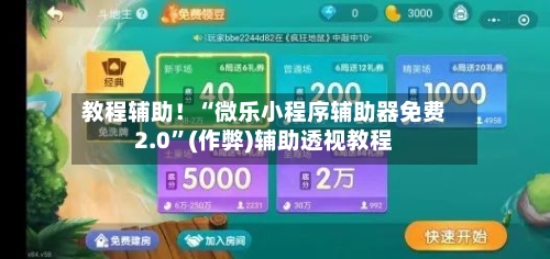 教程辅助！“微乐小程序辅助器免费2.0	”(作弊)辅助透视教程-第2张图片